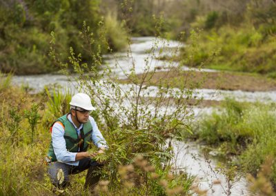 Uma das nossas frentes de trabalho envolve a recuperação de 40 mil hectares de Áreas de Preservação Permanente  (APPs) degradadas na bacia do rio Doce. | Foto: Gustavo Baxter / NITRO