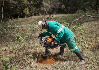 Dez mil hectares deverão ser reflorestados, e 30 mil hectares deverão ser recuperados por meio de regeneração. | Foto: Bruno Correa / NITRO