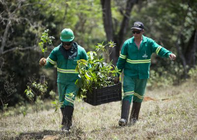 Ao conciliar produção e conservação, a Fundação Renova espera engajar o produtor rural nas ações de restauração florestal. | Foto: Bruno Correa / NITRO