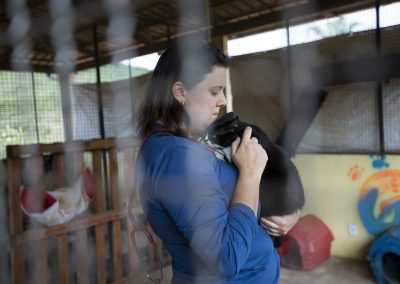 Os animais que foram resgatados e não tiveram a tutela reconhecida pelas pessoas das comunidades atingidas são destinados à adoção responsável. | Foto: Gustavo Baxter / NITRO