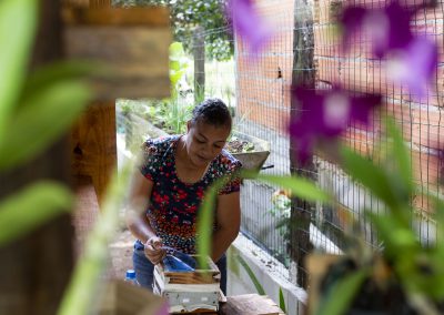 Durante o ano de 2018, a Associação dos Meliponicultores do Espírito Santo (AME-ES) ministrou cursos para capacitar 36 famílias, sendo nove em cada localidade, na criação das abelhas nativas.  Foto: Leo Drumond / NITRO